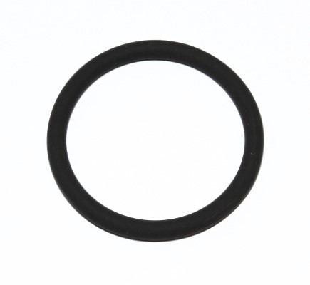 Seal Ring - 165.520 ELRING