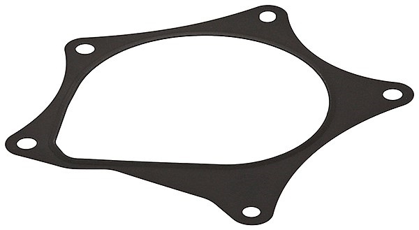 Gasket, water pump - 876.160 ELRING