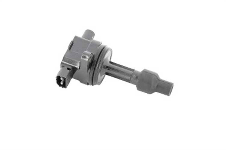 Bobina d'accensione - ZS429 BorgWarner (BERU)