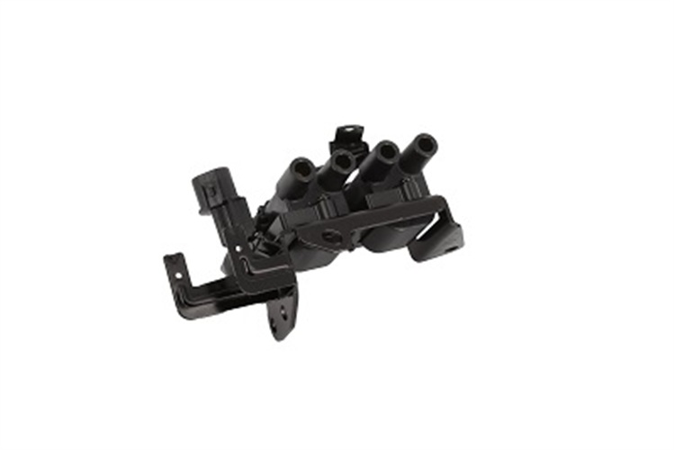 Bobina d'accensione - ZS536 BorgWarner (BERU)