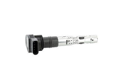 Катушка зажигания - ZSE062 BorgWarner (BERU)