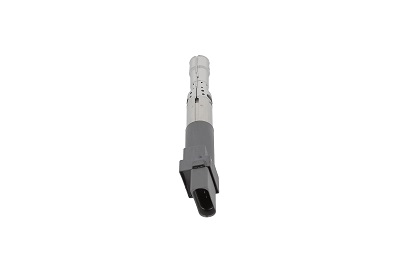 Катушка зажигания - ZSE063 BorgWarner (BERU)