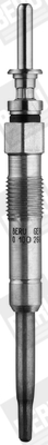 Glühkerze - GE102 BorgWarner (BERU)