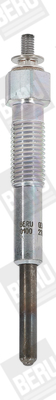 Glow Plug - GN043 BorgWarner (BERU)