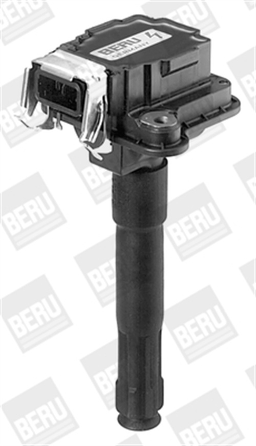 ritė, uždegimas - ZS016 BorgWarner (BERU)