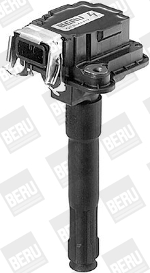 ritė, uždegimas - ZS016 BorgWarner (BERU)