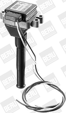 Катушка зажигания - ZS043 BorgWarner (BERU)
