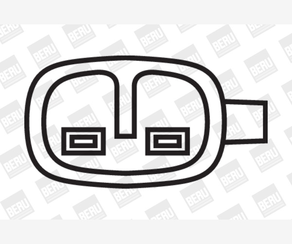 Ignition Coil - ZS052 BorgWarner (BERU)