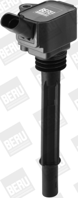 Ignition Coil - ZS588 BorgWarner (BERU)