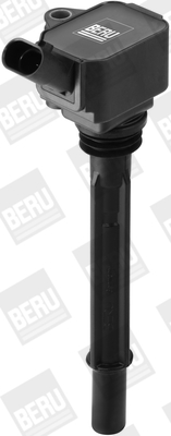 Ignition Coil - ZS096 BorgWarner (BERU)