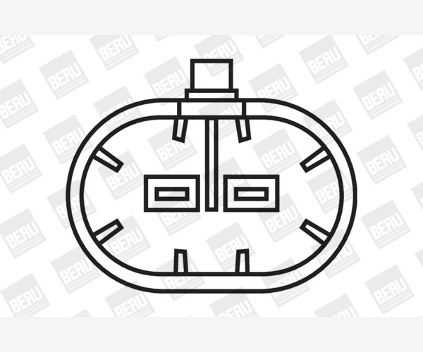 Ignition Coil - ZS283 BorgWarner (BERU)