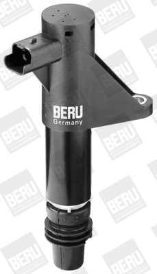 Ignition Coil - ZS347 BorgWarner (BERU)