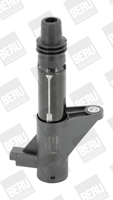 Ignition Coil - ZS347 BorgWarner (BERU)
