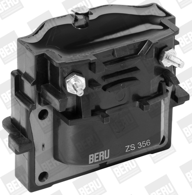 ritė, uždegimas - ZS356 BorgWarner (BERU)