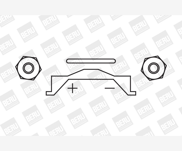 Bobina d'accensione - ZS356 BorgWarner (BERU)