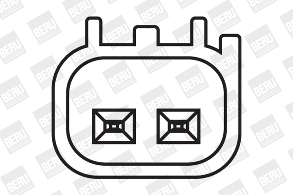 Ignition Coil - ZS369 BorgWarner (BERU)