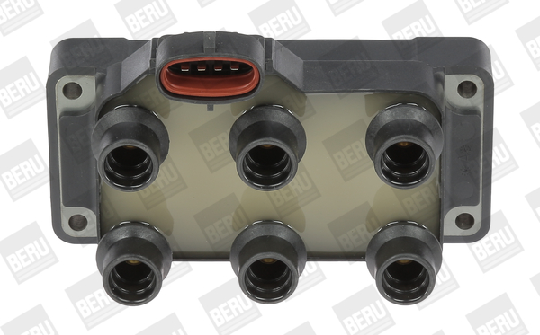 Ignition Coil - ZS371 BorgWarner (BERU)