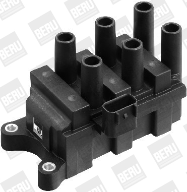ritė, uždegimas - ZS372 BorgWarner (BERU)