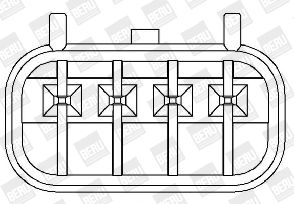 ritė, uždegimas - ZS372 BorgWarner (BERU)
