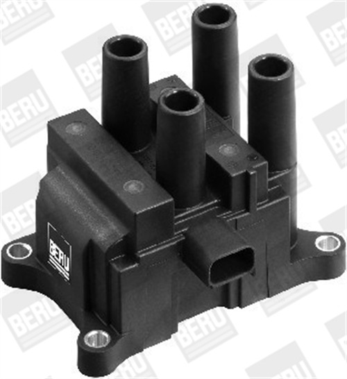 Bobina d'accensione - ZS387 BorgWarner (BERU)