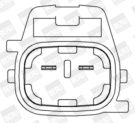Катушка зажигания - ZS396 BorgWarner (BERU)