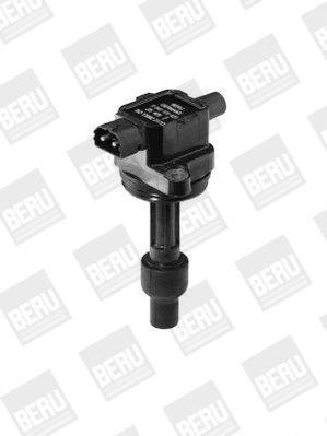 Bobina d'accensione - ZS429 BorgWarner (BERU)