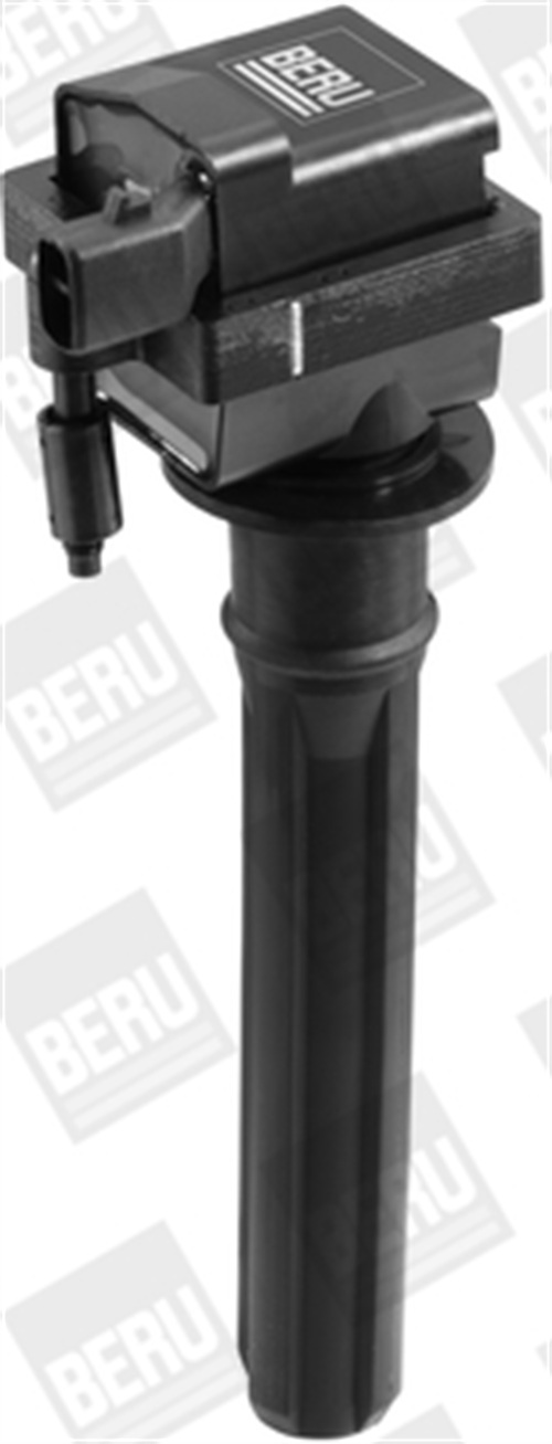 Bobina d'accensione - ZS432 BorgWarner (BERU)