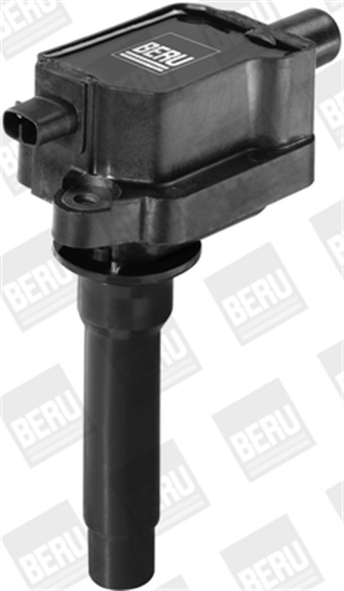 Ignition Coil - ZS434 BorgWarner (BERU)
