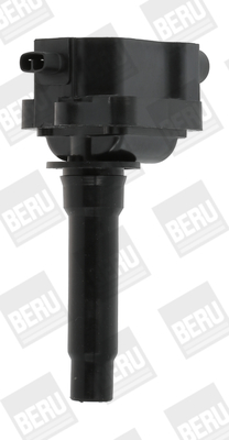 Ignition Coil - ZS434 BorgWarner (BERU)