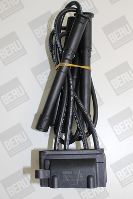 Ignition Coil - ZS454 BorgWarner (BERU)