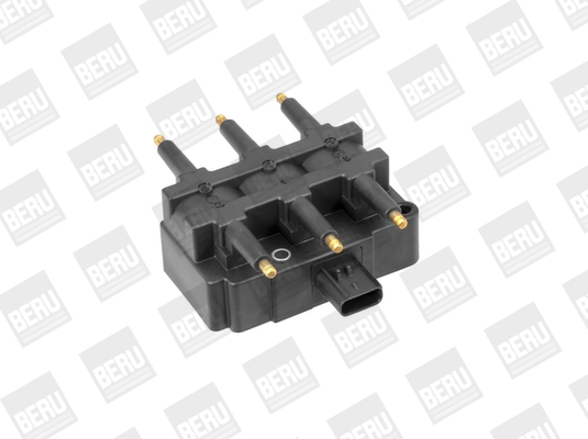 ritė, uždegimas - ZS455 BorgWarner (BERU)
