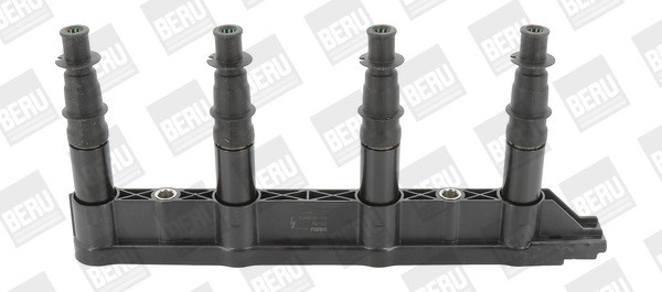 ritė, uždegimas - ZS472 BorgWarner (BERU)