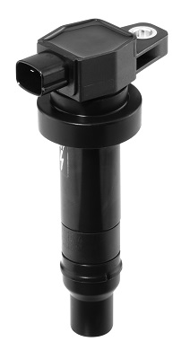 Катушка зажигания - ZS474 BorgWarner (BERU)
