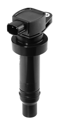 Катушка зажигания - ZS475 BorgWarner (BERU)