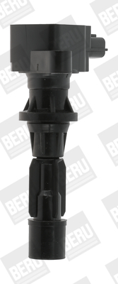Bobina d'accensione - ZS488 BorgWarner (BERU)