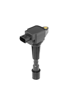 Катушка зажигания - ZS489 BorgWarner (BERU)