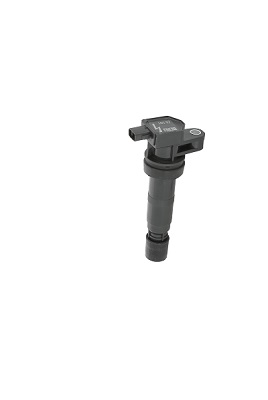 Катушка зажигания - ZS531 BorgWarner (BERU)