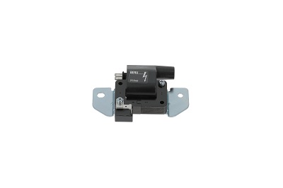 Ignition Coil - ZS540 BorgWarner (BERU)