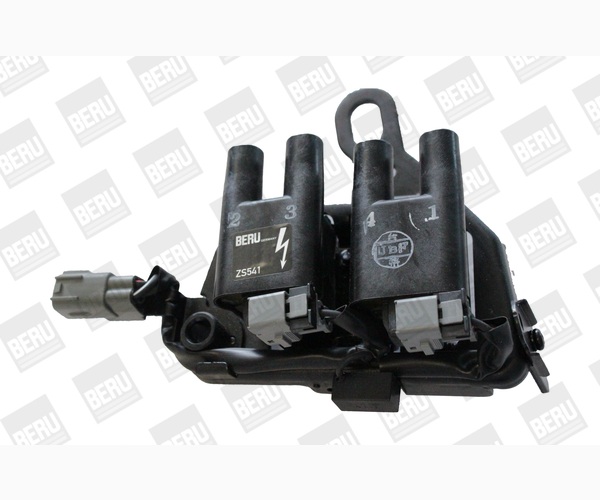 Ignition Coil - ZS541 BorgWarner (BERU)