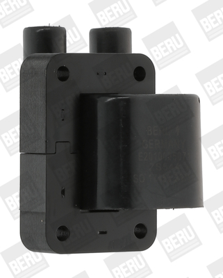 Bobina d'accensione - ZS544 BorgWarner (BERU)
