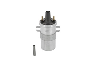 Zündspule - ZS546 BorgWarner (BERU)