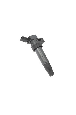 Катушка зажигания - ZS548 BorgWarner (BERU)