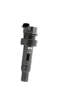 Bobina d'accensione - ZS551 BorgWarner (BERU)