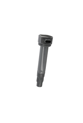 ritė, uždegimas - ZS562 BorgWarner (BERU)