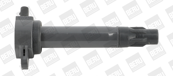 Ignition Coil - ZS562 BorgWarner (BERU)