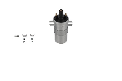 Bobina d'accensione - ZS563 BorgWarner (BERU)