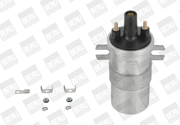 Ignition Coil - ZS563 BorgWarner (BERU)