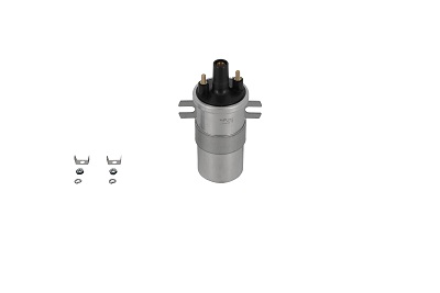 ritė, uždegimas - ZS564 BorgWarner (BERU)