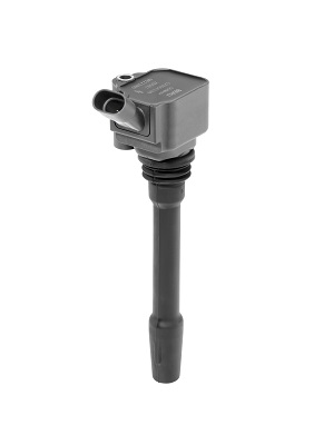 Bobina d'accensione - ZS587 BorgWarner (BERU)