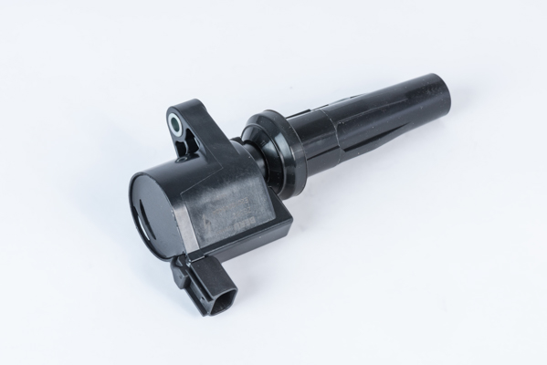 Bobina d'accensione - ZS592 BorgWarner (BERU)